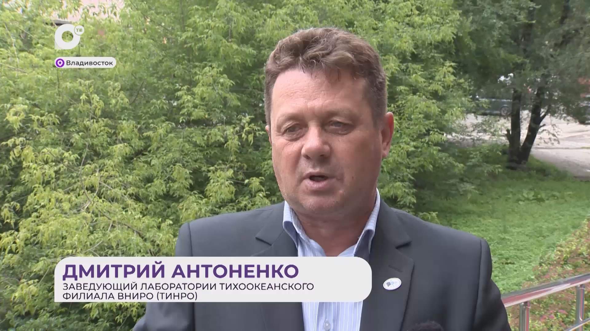 Прямая речь / О появлении акул / 10.08.26