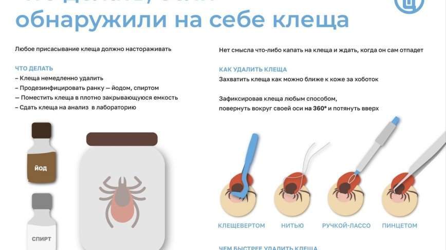 Опасность проснулась раньше: дан список адресов для экспресс-анализа клещей в Приморье