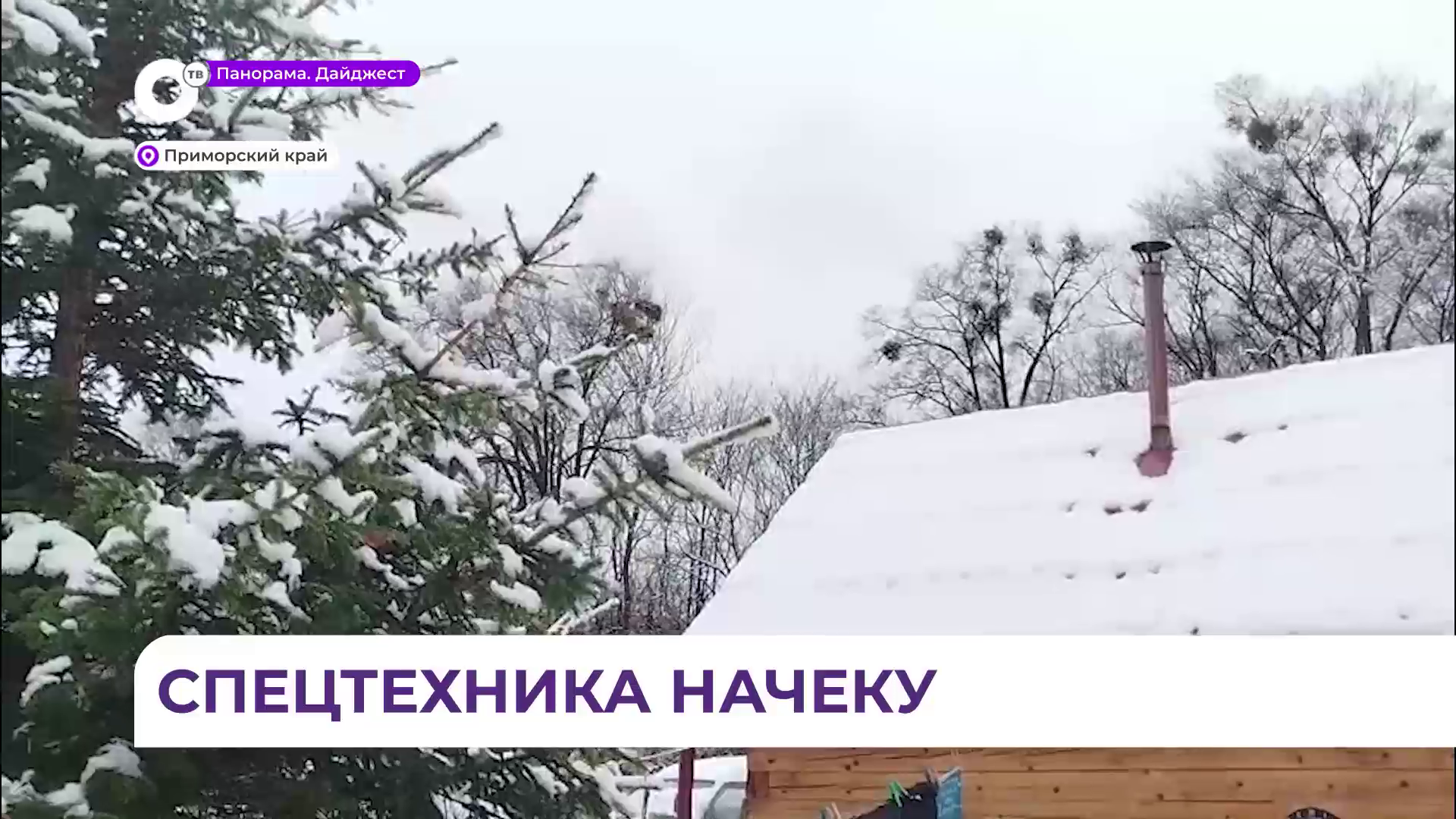 Первым снегом засыпало Приморский край