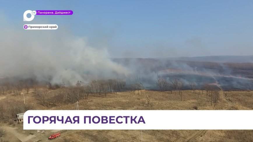 Собрание Приморской ассоциации лесопромышленников и экспортеров леса прошло во Владивостоке