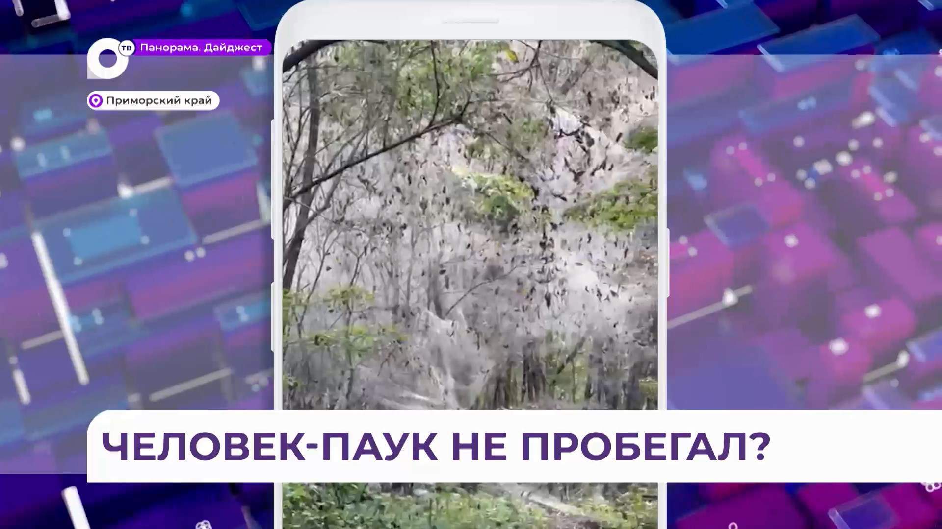 Некоторые леса Приморья превратились в локацию для съёмок настоящего фильма ужасов