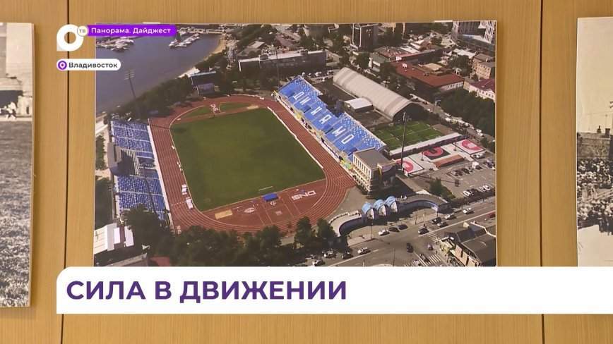 Всероссийскому спортивному обществу Динамо исполнилось сто лет