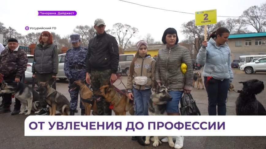 В Уссурийске собрали настоящий собачий парад