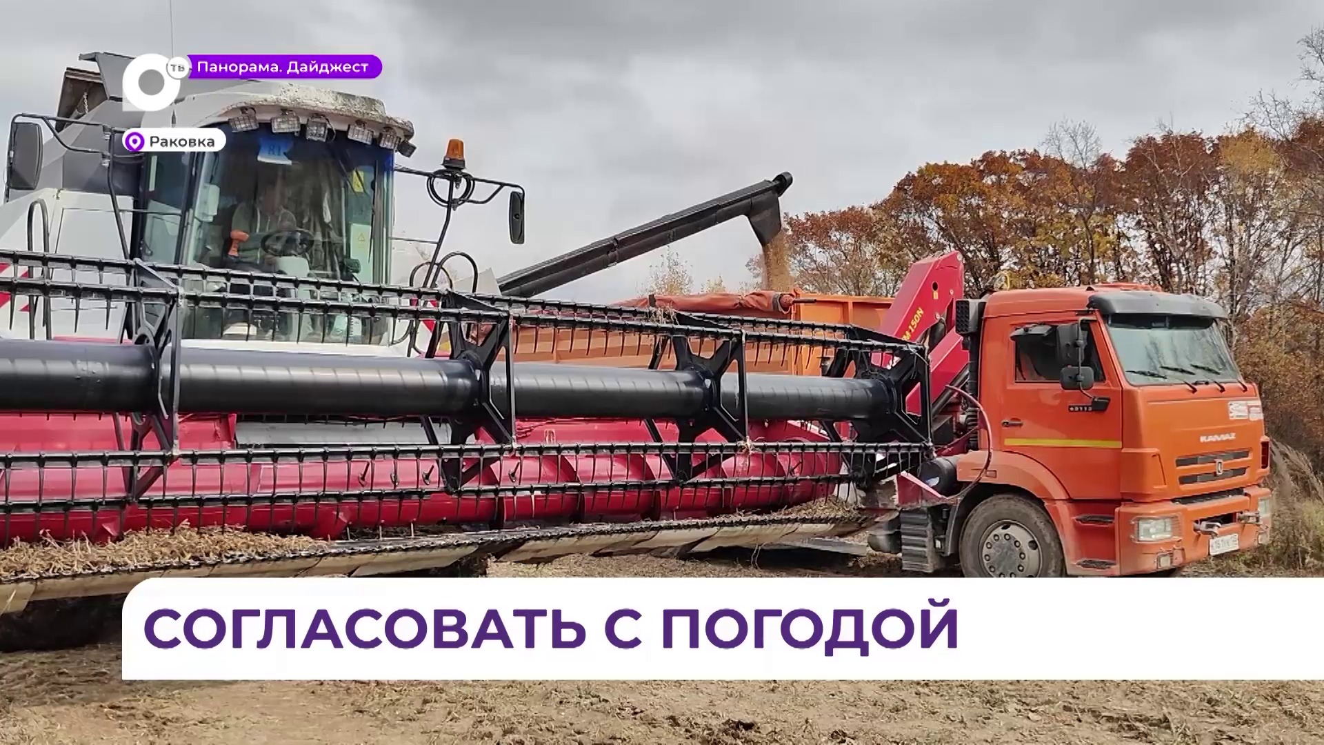 Уборка сои стартовала в Приморском крае