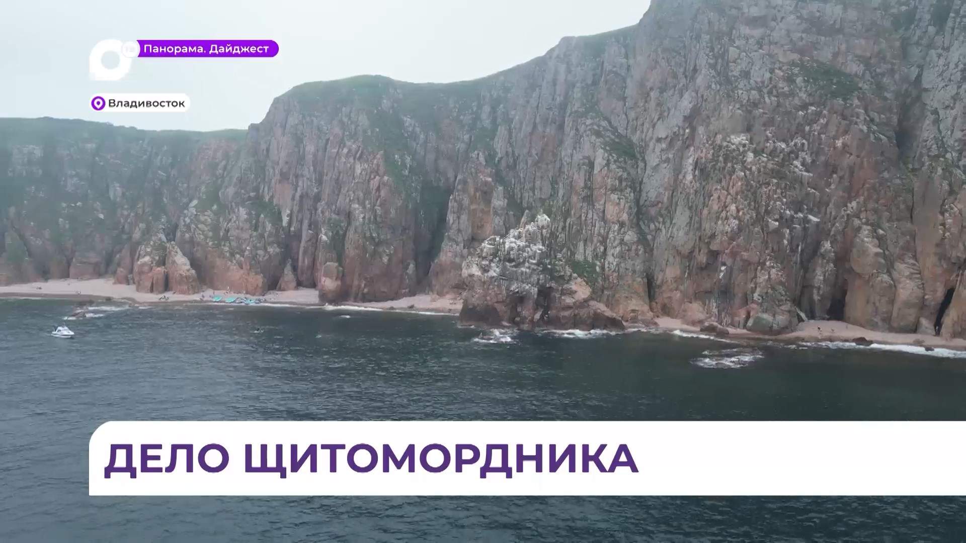 Пенсионерка попала в реанимацию после укуса змеи на полуострове Шкота