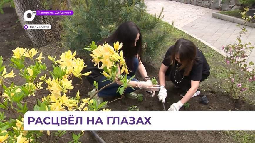 Самая настоящая альпийская горка появилась в центре Владивостока