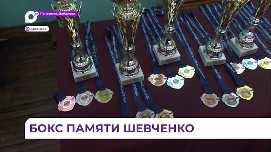 В Арсеньеве состоялся турнир по боксу памяти Шевченко