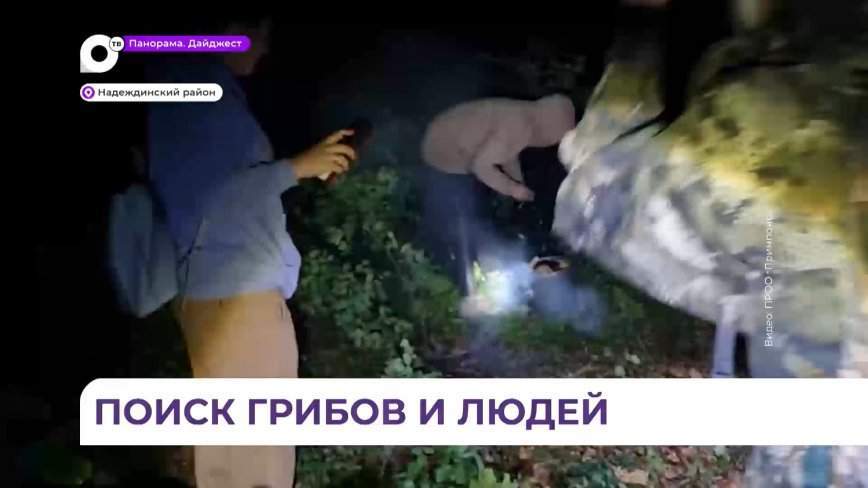 Грибной сезон в Приморье в разгаре, но в азарте — не терять голову