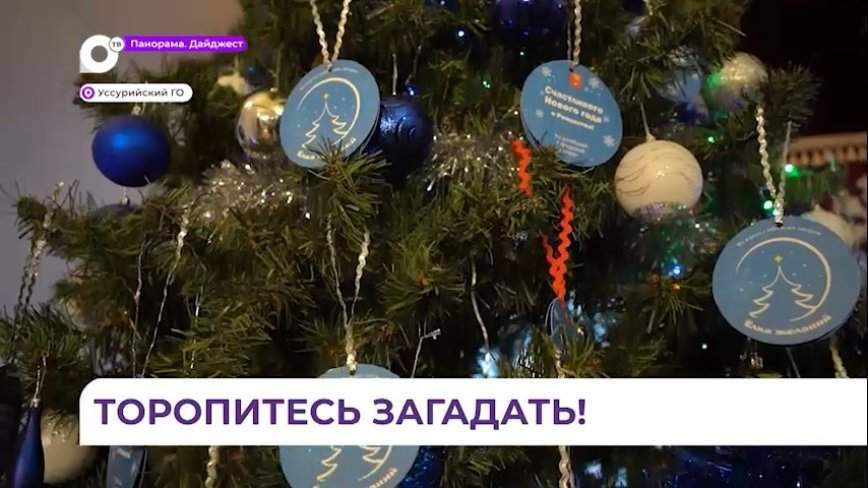 «Елка желаний» в Уссурийске собрала около себя детей и взрослых