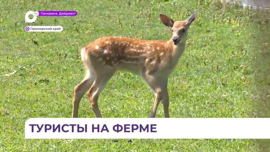 Гранты на развитие агротуризма в Приморье помогут открыть новые рабочие места