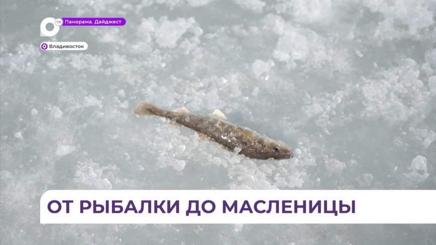 Сотни рыбаков собрались на Народной рыбалке в рамках краевого фестиваля