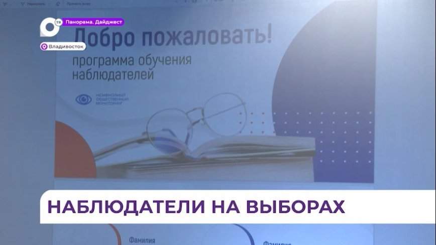 Обучение общественных наблюдателей за выборами президента РФ начато в Приморье