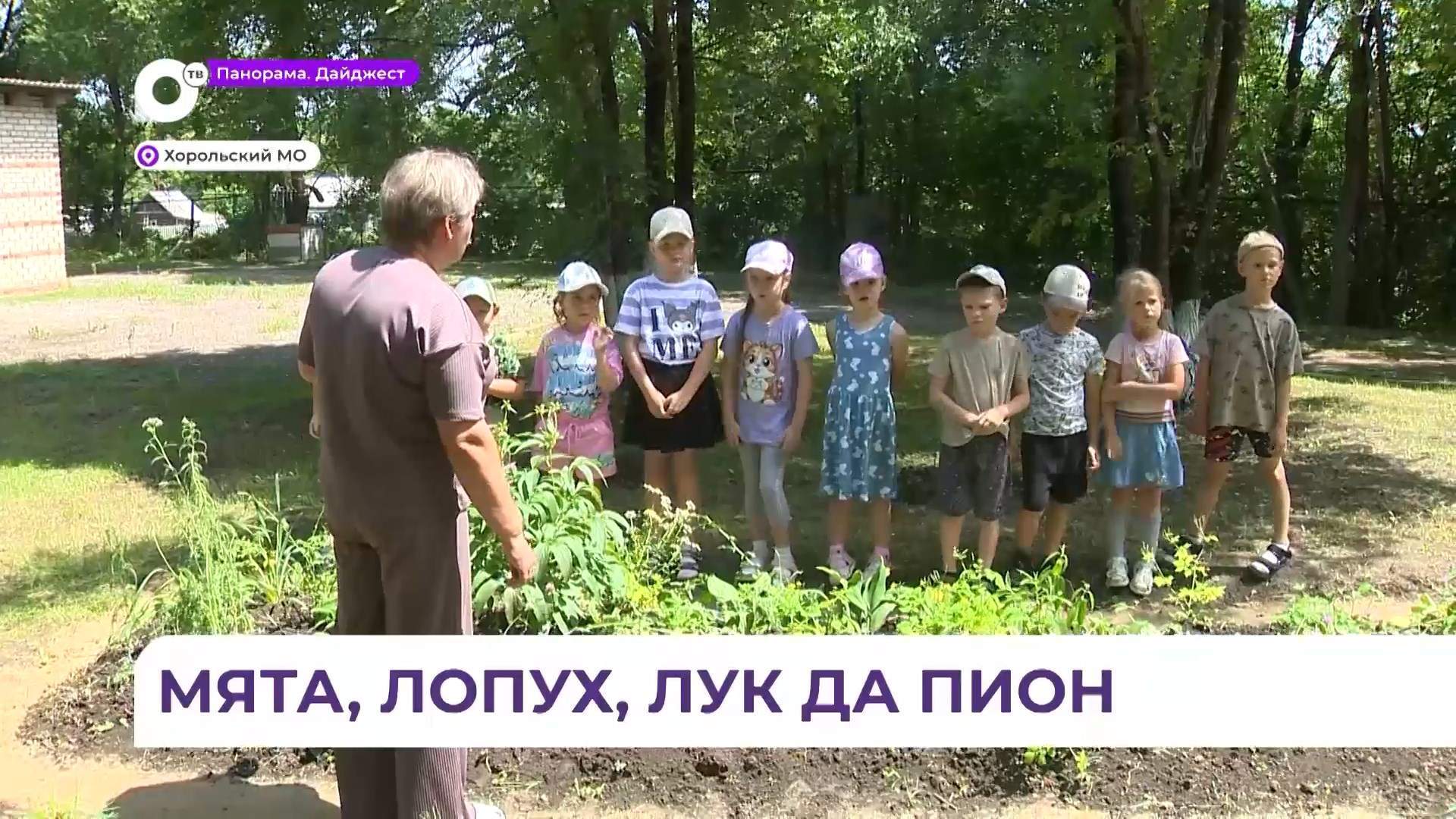 Воспитанников детсада «Радуга» в Хороле с пяти лет знакомят с лечебными травами 