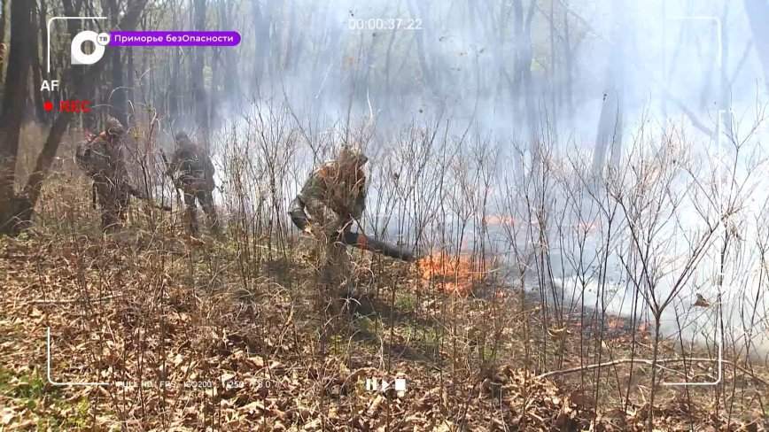 Приморье безОпасности / 03.05.23