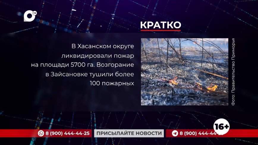 Кратко. 20.03.24 (Вечер)