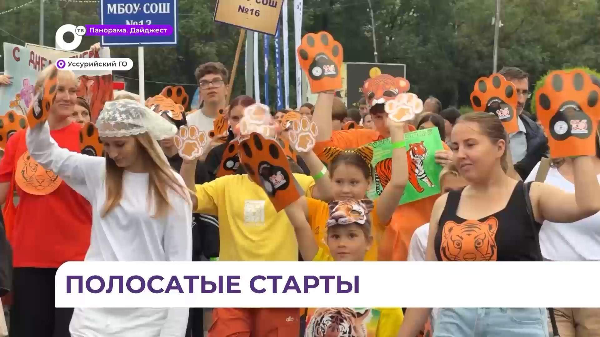 В Уссурийске День тигра объединил трудовые династии и многодетные семьи
