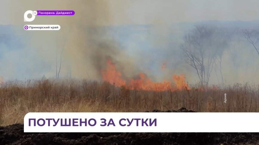 17 лесных и природных пожаров потушили в Приморье за сутки