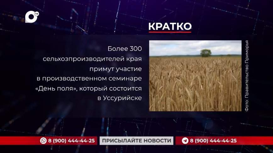 Кратко. 26.03.24 (Вечер)