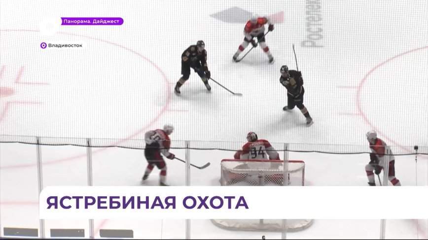 Приморский «Адмирал» выиграл на домашней арене у омского «Авангарда»