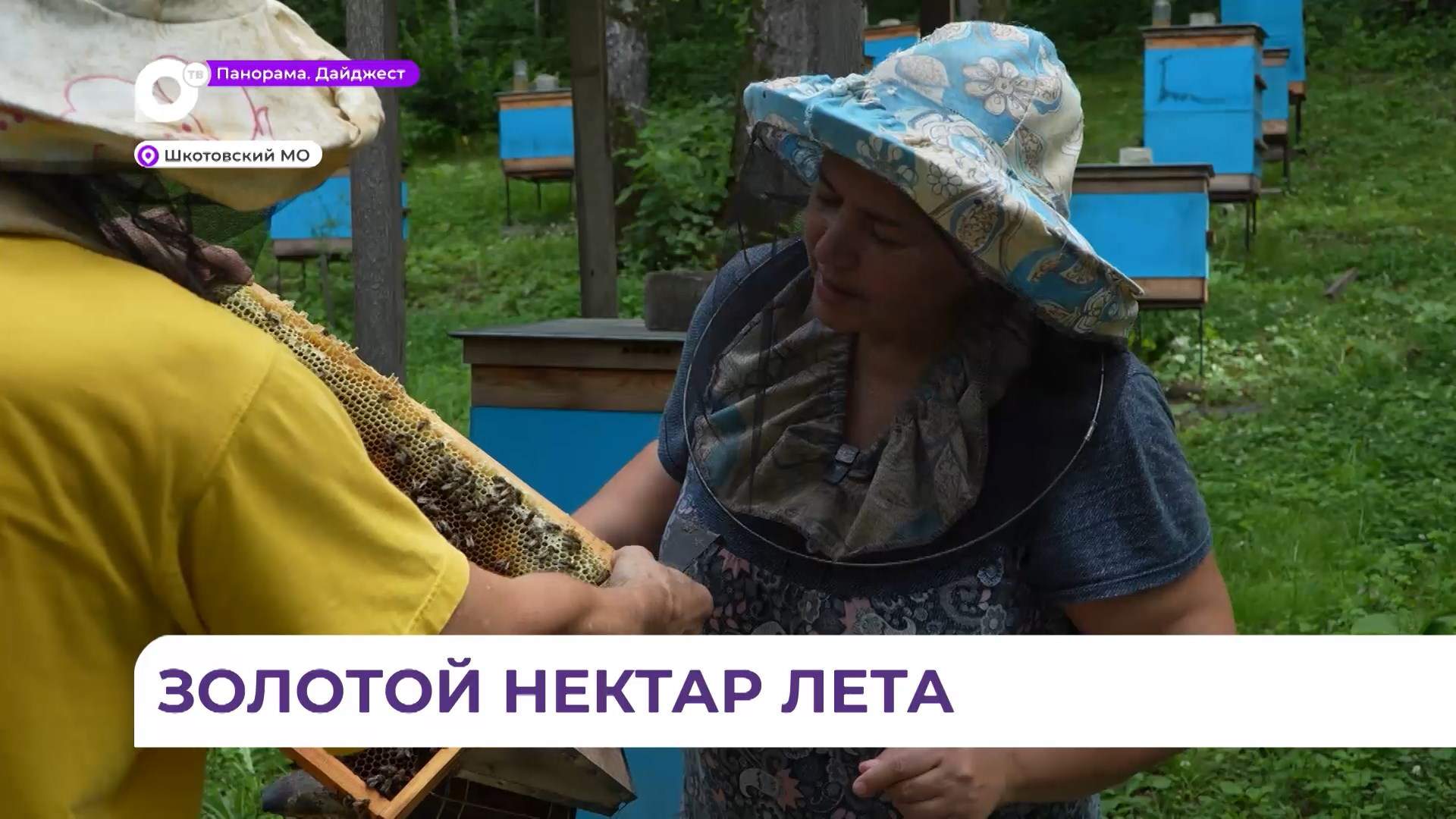 В семье Бугаец из приморского села Лукьяновка — разгар сезона сбора липового мёда 