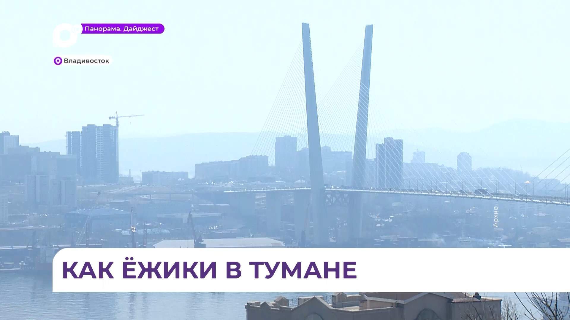 Смог от природных пожаров дошёл до Владивостока