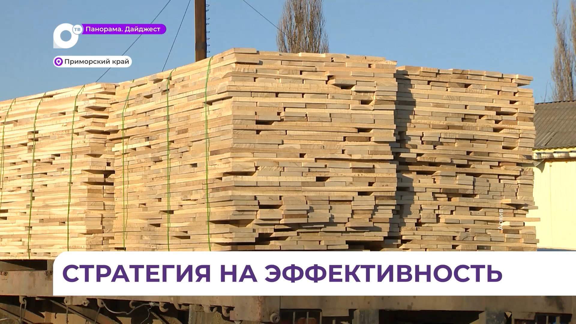Эффективность использования лесных ресурсов в регионе обсудили во Владивостоке 