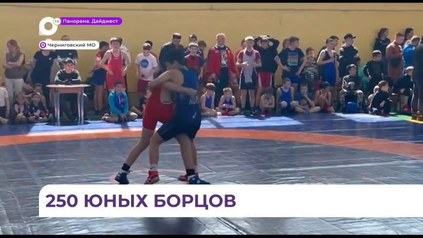 Турнир по греко-римской борьбе собрал 250 спортсменов со всего ДВ в Черниговке