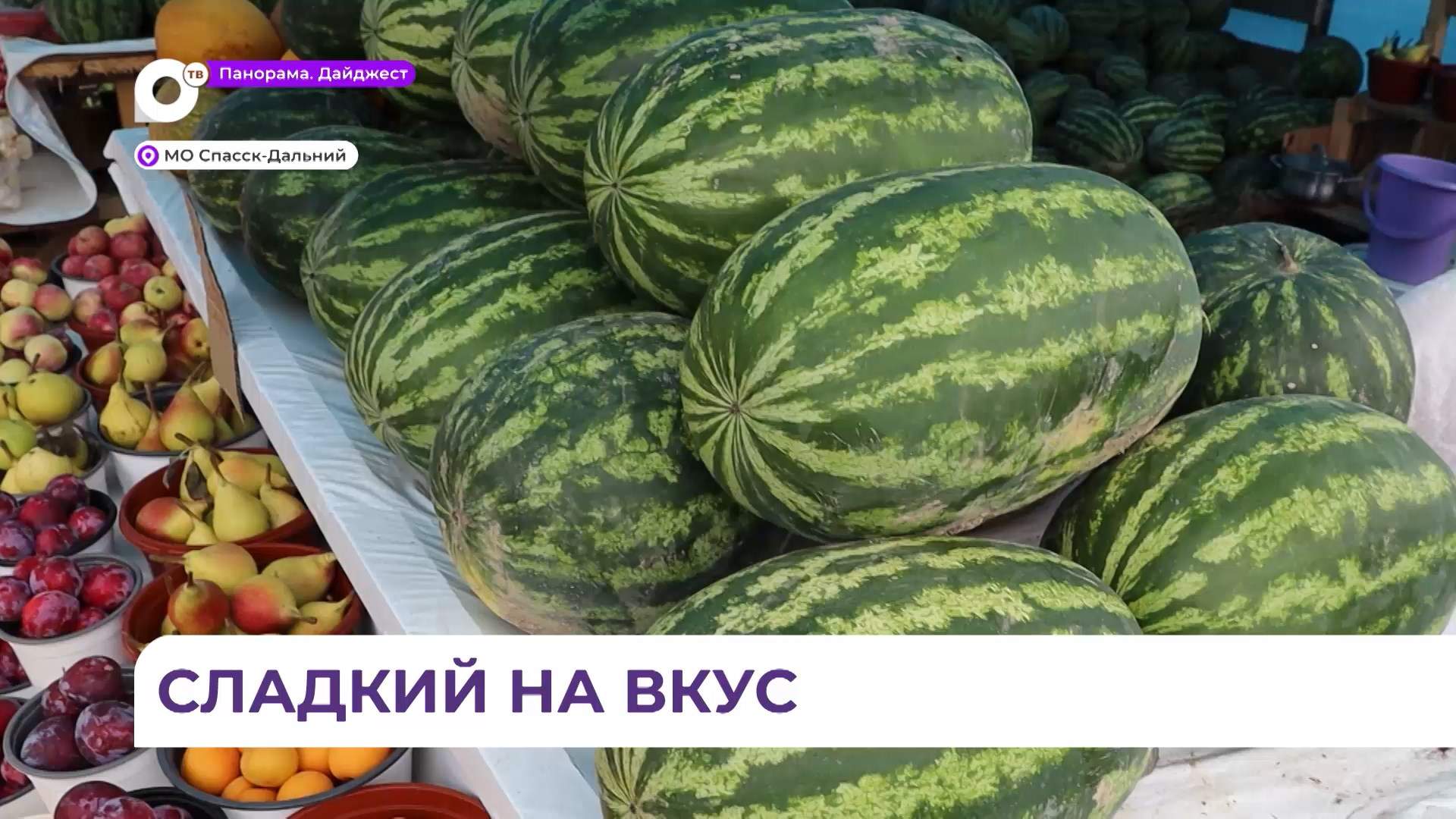 Приморские бахчеводы: хороший арбуз отличается правильной формой и блестящей корой