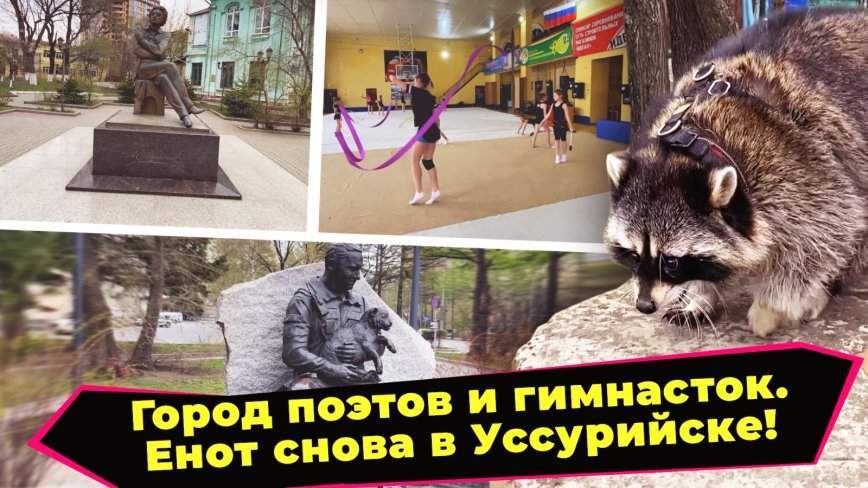 Енот и народ / Город поэтов м гимнасток. Енот снова в Уссурийске! / 14.07.23