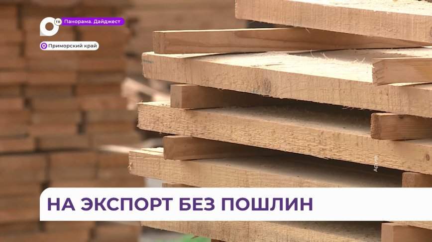 Санкций бояться – в лес не ходить: меры поддержки лесной отрасли обсудили в Приморье