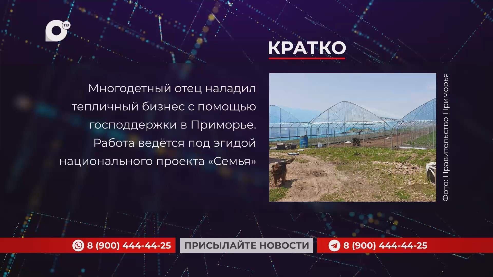 Кратко / 14.05.25 / Вечер