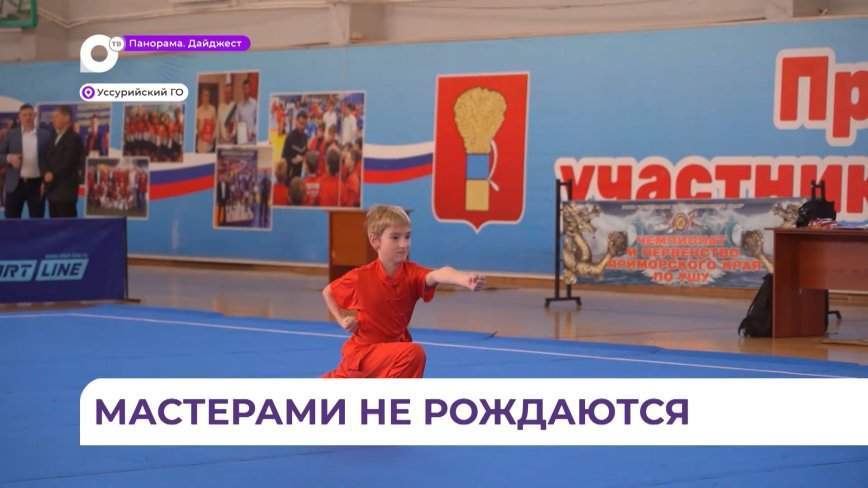 Соревнования по ушу «Уссурийский тигр» прошли в юбилейный пятый раз