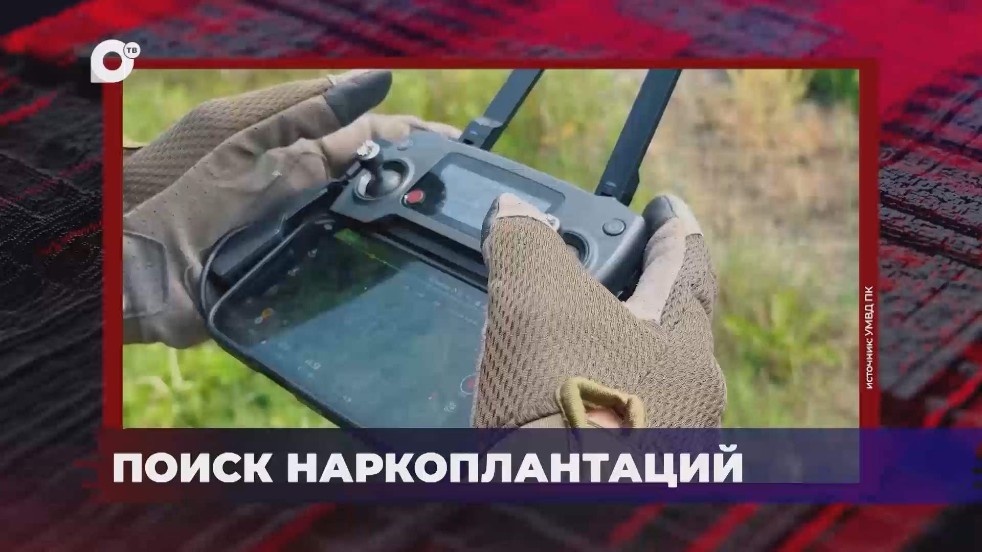 В порядке! / Поиск наркоплантаций / 06.10.26