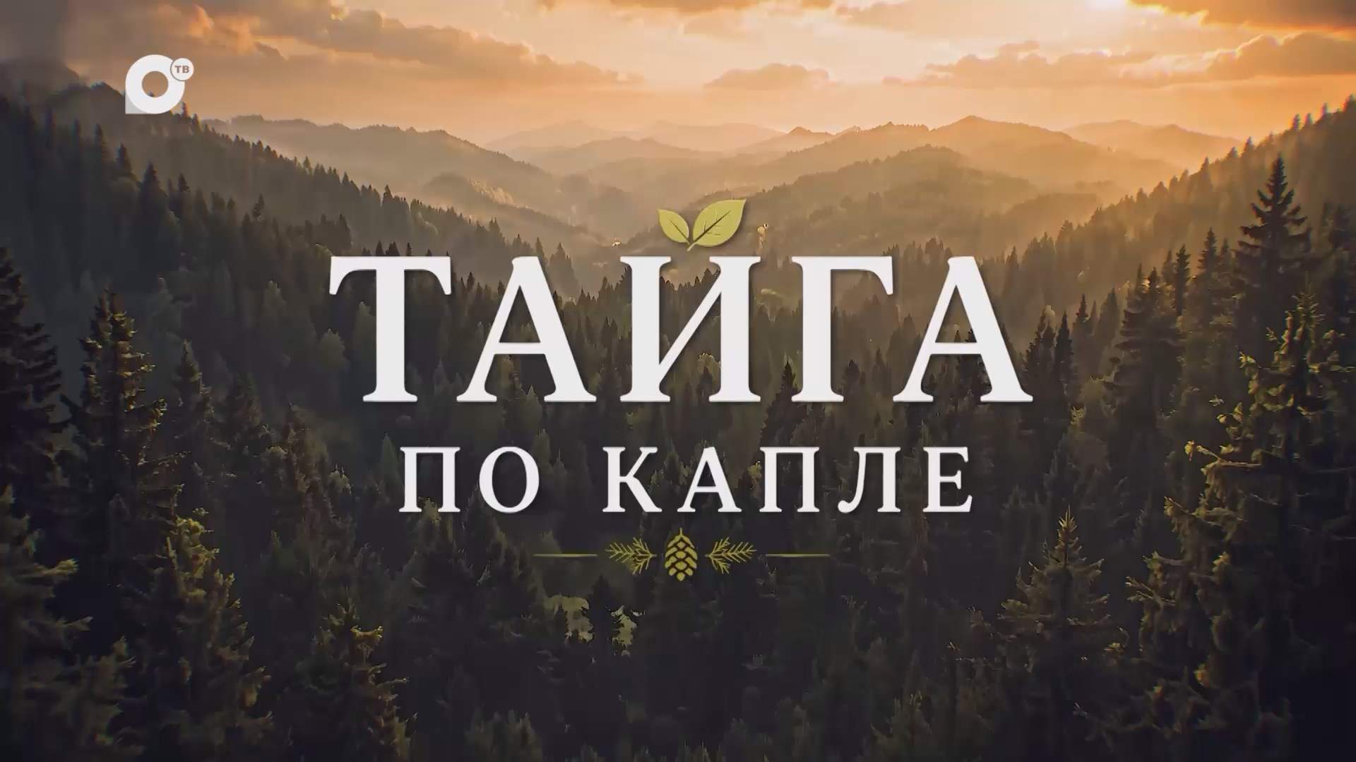 Тайга по капле / Мёд / 30.08.26