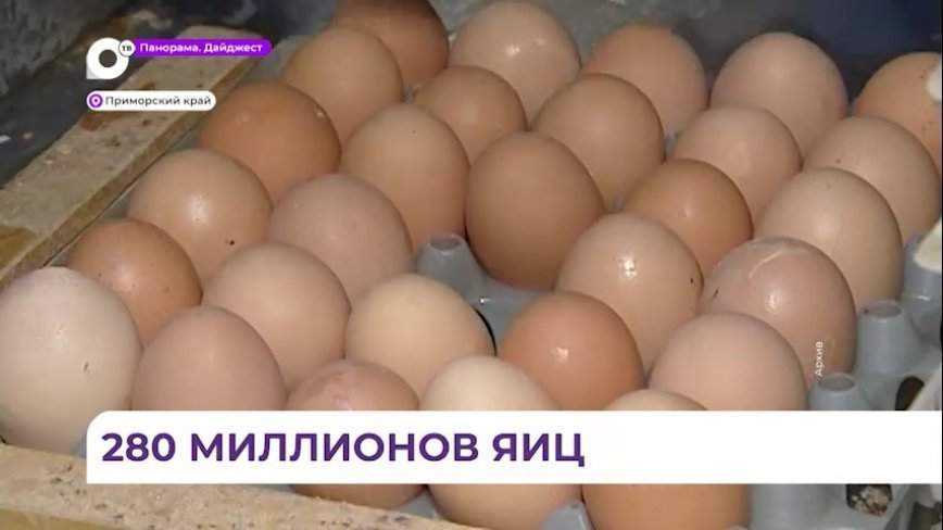 Производство яиц увеличилось в Приморье