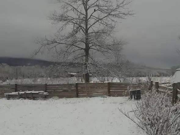 Апрельская зима накрыла Приморье