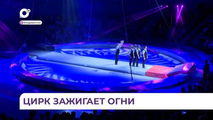 Жителей и гостей Владивостока приглашают посетить уникальное цирковое шоу