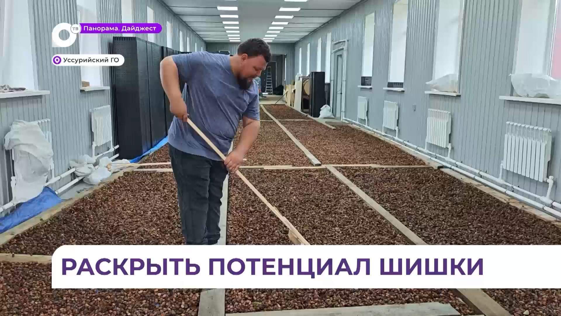 В комплексе «Приморской авиабазы» приступили к заготовке уникального посадочного материала