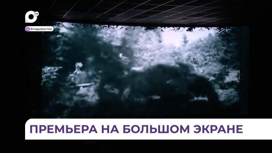 Благодаря проекту «Школа имени героя» молодые кинематографисты Приморья представили свои картины