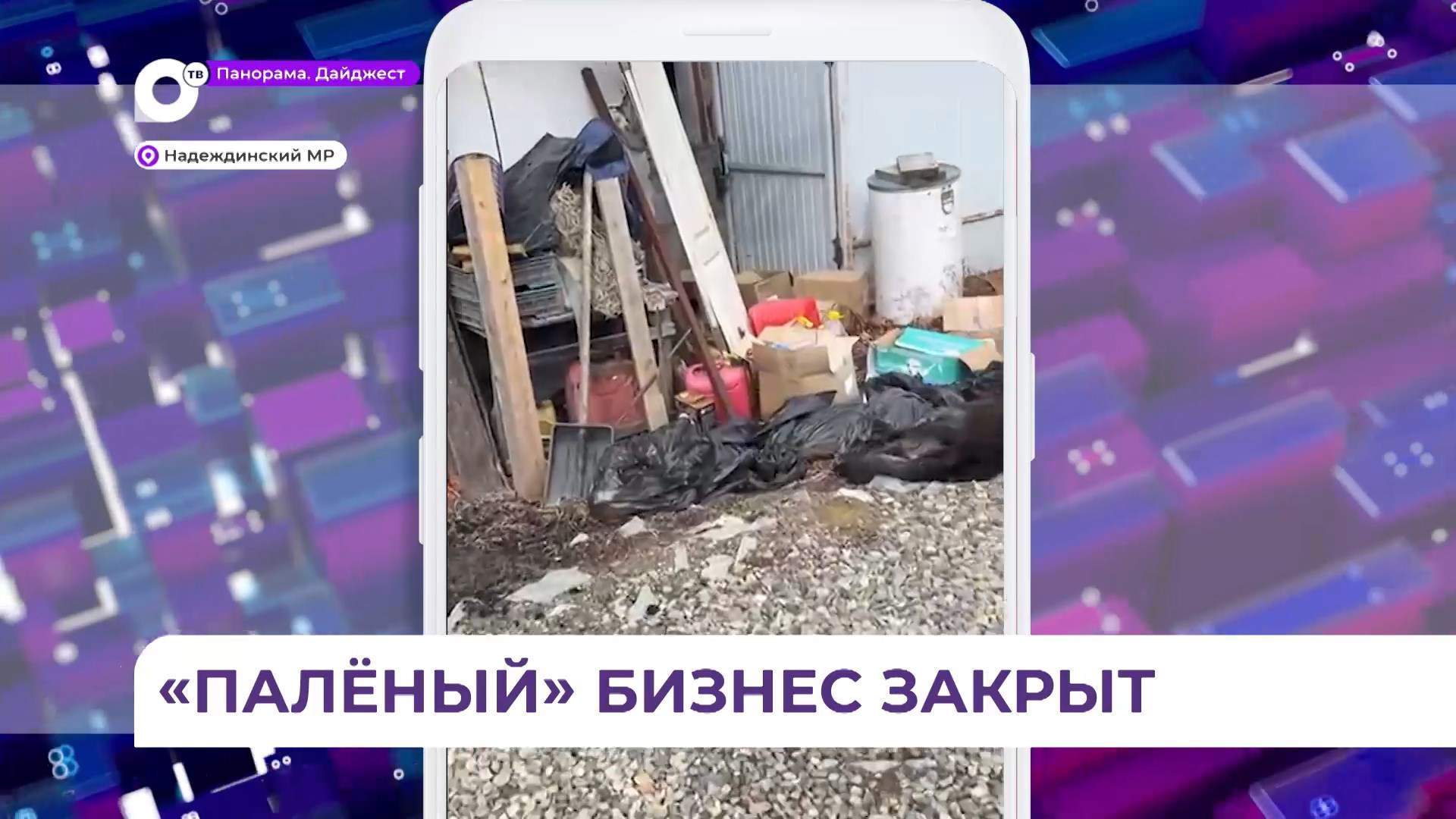 В Приморье возбуждено уголовное дело в отношении крематория для животных «Ковчег»