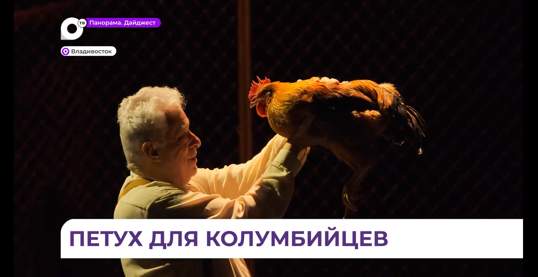Петух из Владивостока стал главным героем спектакля на Тихоокеанском театральном фестивале