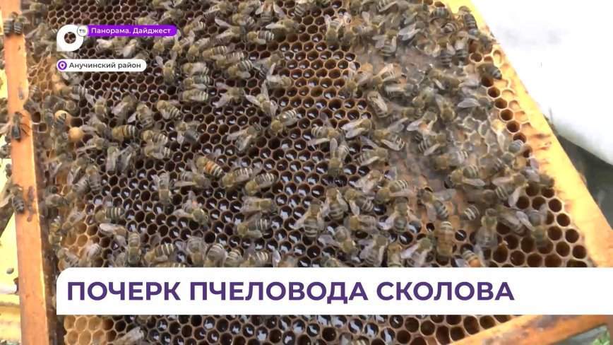 Правильный мёд пчеловода Андрея Сколова на пасеке в Анучинском районе