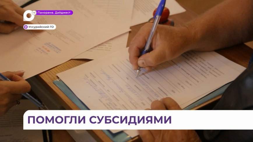 От 500 тысяч до миллиона могут получить пострадавшие от наводнения бизнесмены Уссурийска