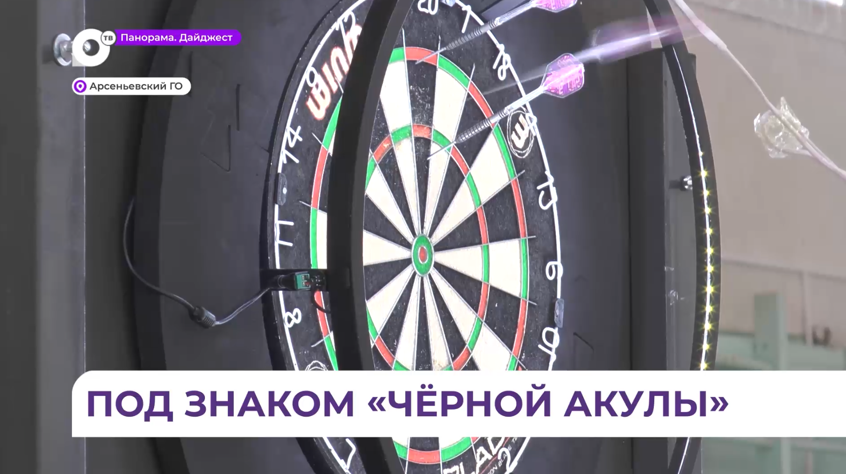 «Чёрные акулы» дартса собрались в Арсеньеве на турнир