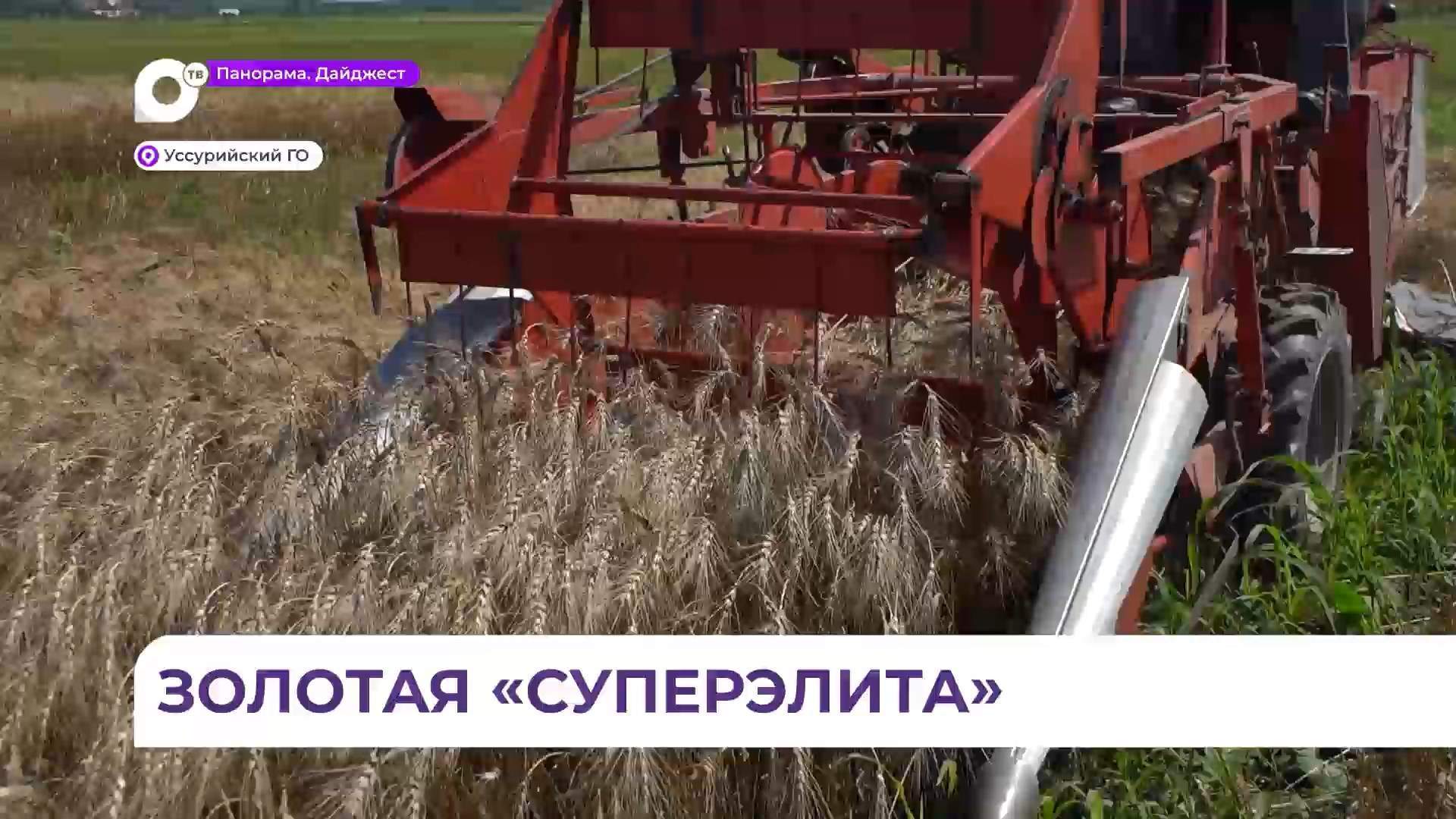 Научный центр в Уссурийске начал заготовку семян для сельхозпроизводителей
