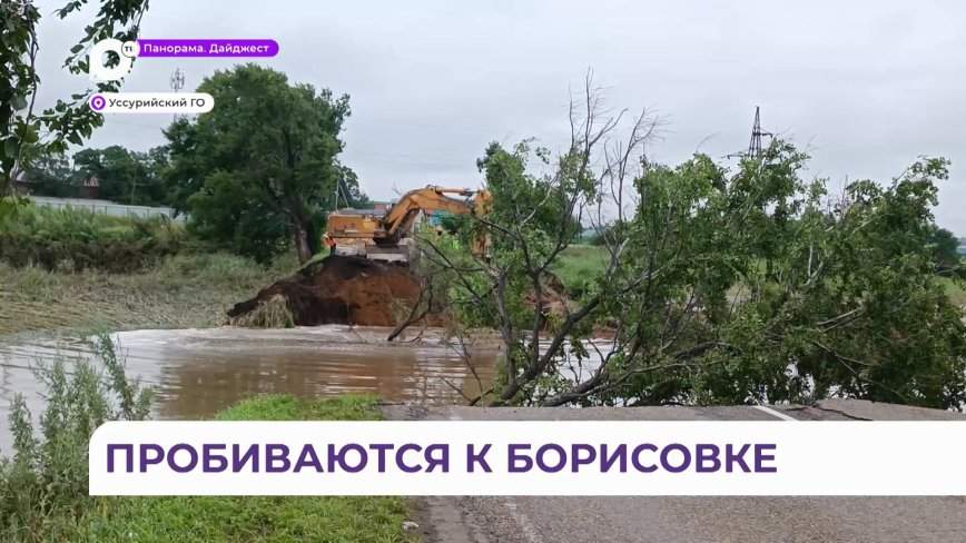 Жители села Борисовка помогают властям восстанавливать дорогу