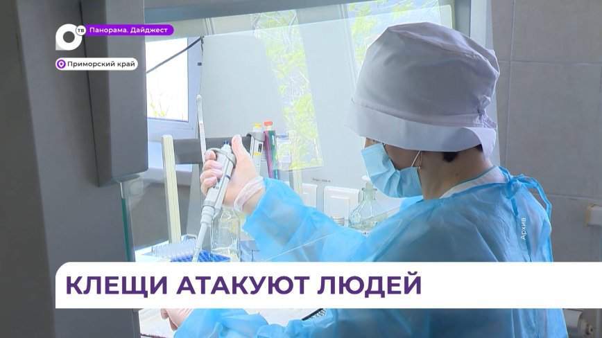 Клещи в Приморье активизировались