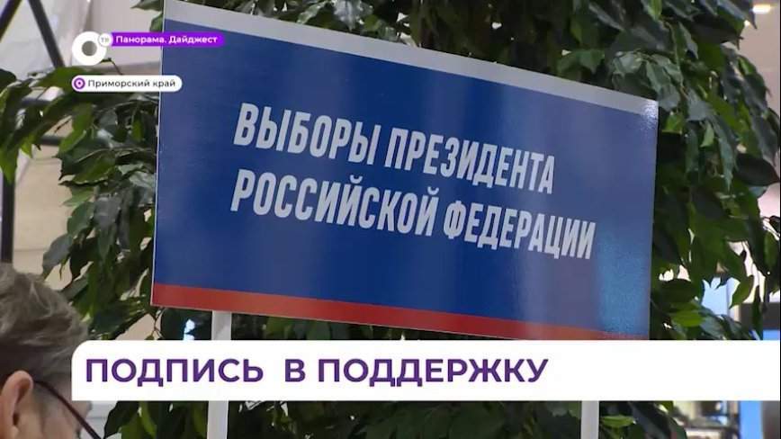 В Приморье идет сбор подписей в поддержку Путина на выборах президента России