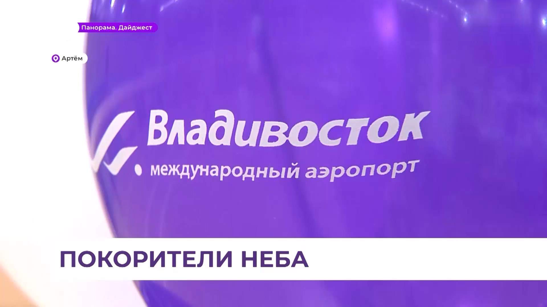 День воздушного флота России торжественно отметили в Артёме
