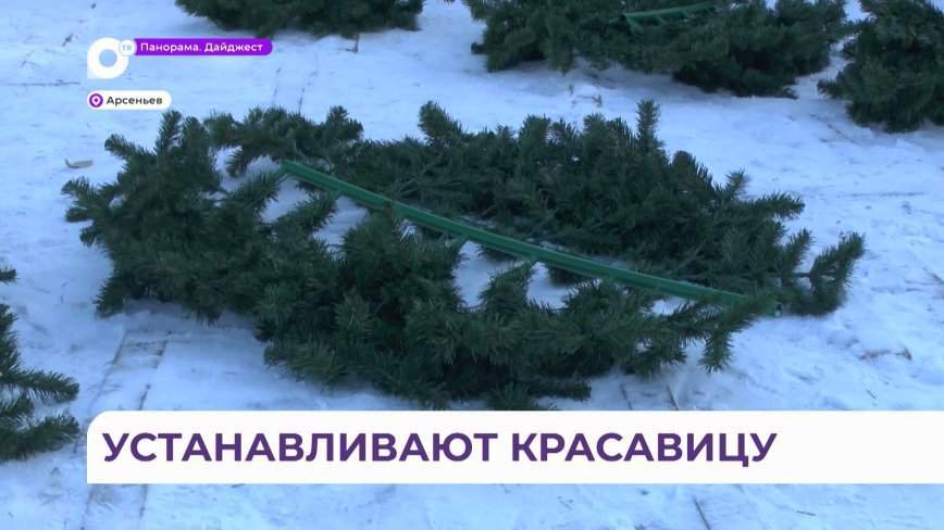 В Арсеньеве начали устанавливать главную городскую ёлку